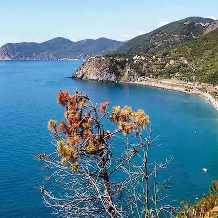 Cinque Terre Hub Luxury Home In La Spezia Esterno foto