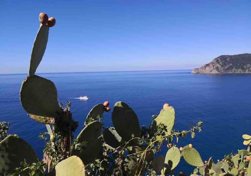 Cinque Terre Hub Luxury In Holiday home *